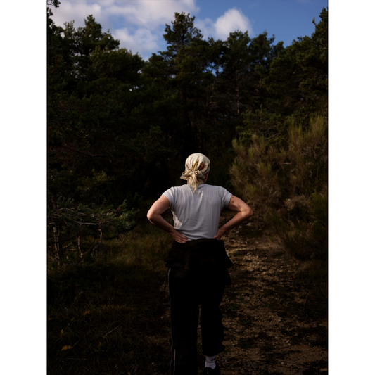 Pou, chasse aux champignons, Drôme