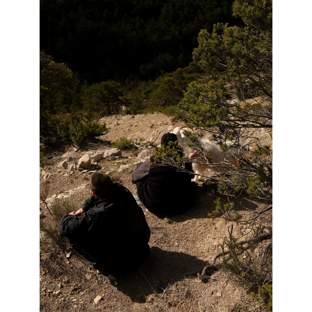 Pou et Mathilde, ascension en compagnie des chèvres, Drôme